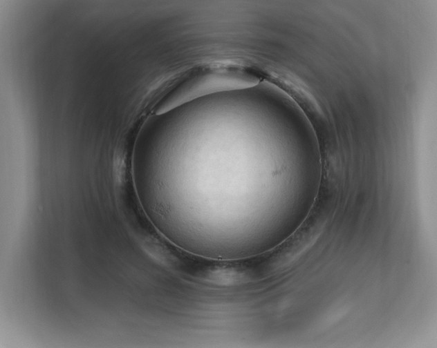 X0000112080596200908041255