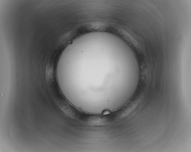 X0000112080597200908041255