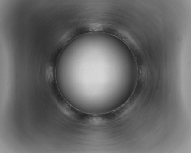 X0000112080598200908041255