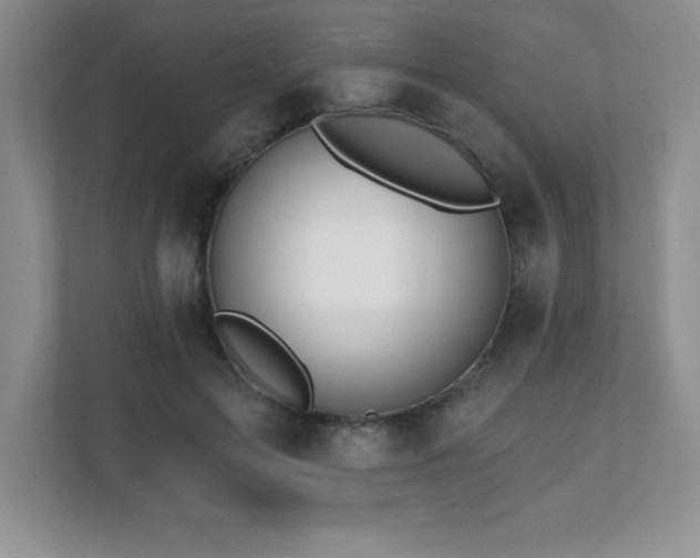X0000112080599200908041255