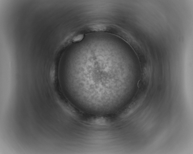 X0000112080600200908041255