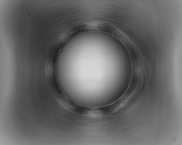 X0000112080603200908041255