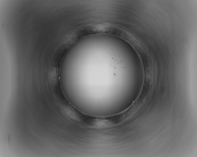 X0000112080605200908041255