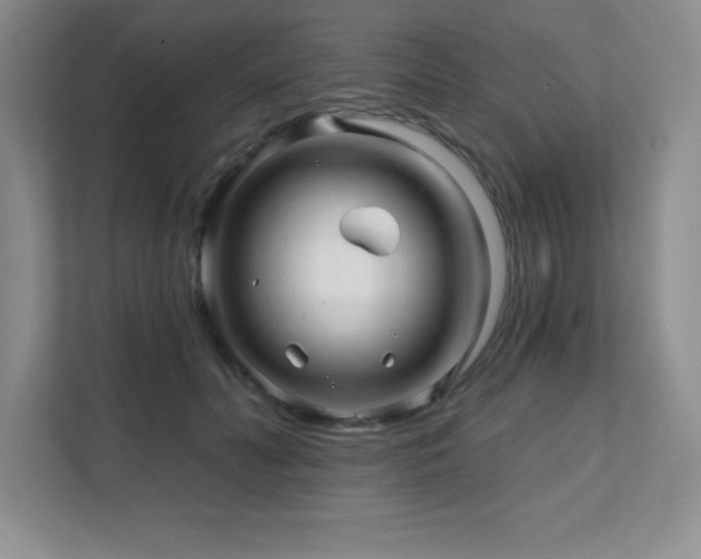 X0000112080606200908041255