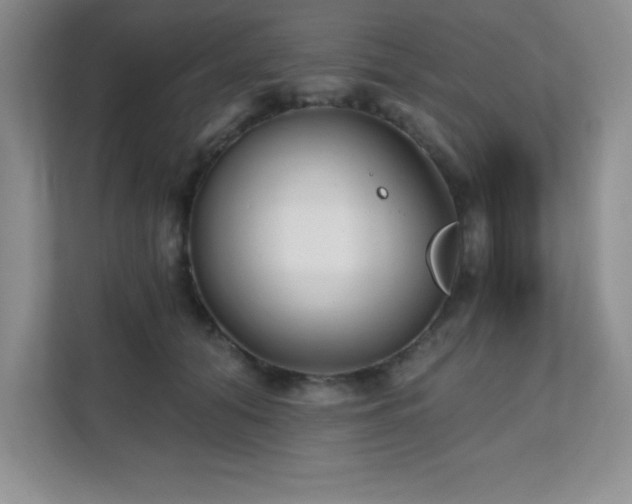 X0000112080608200908041255