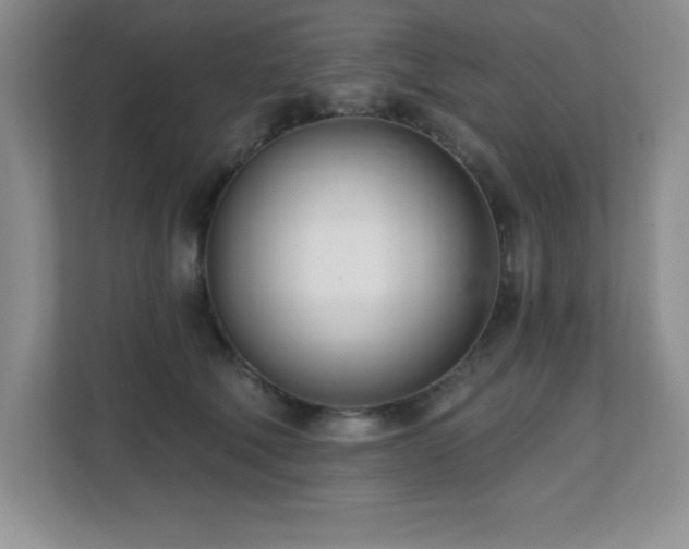 X0000112080610200908041255