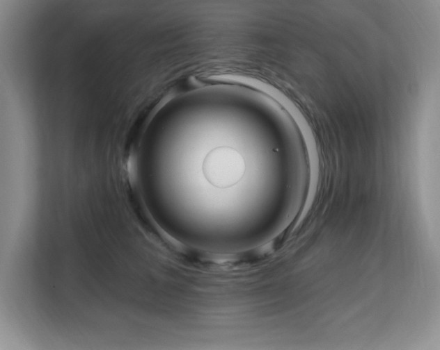 X0000112080613200908041255
