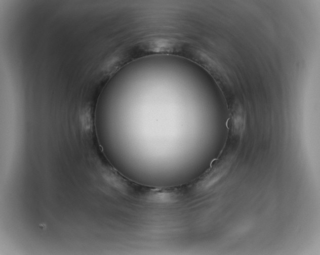 X0000112080620200908041255