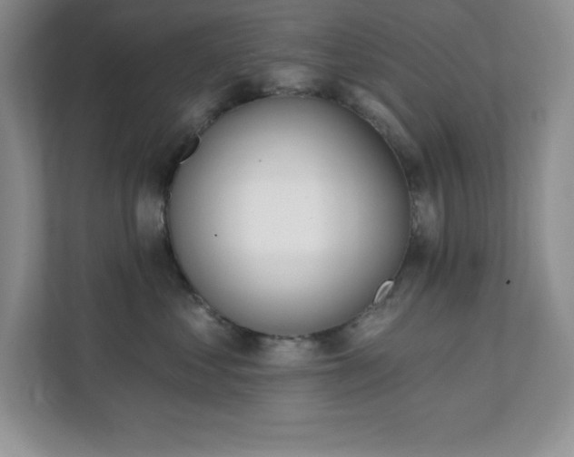 X0000112080621200908041255