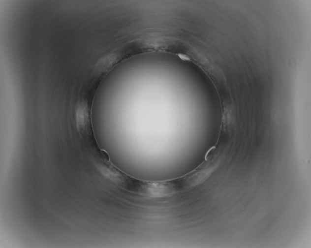 X0000112080623200908041255