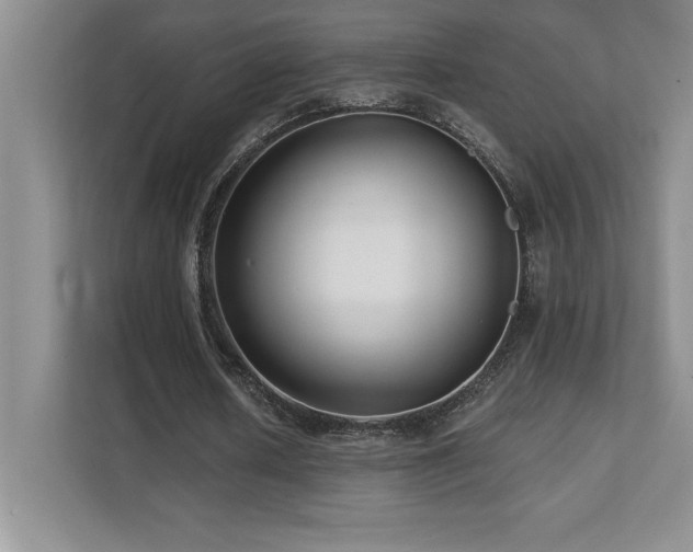 X0000112080626200908041254