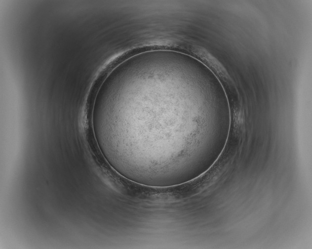 X0000112080628200908041254