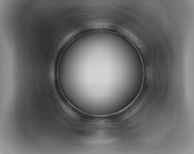 X0000112080629200908041254