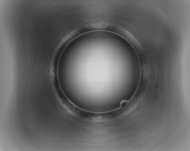 X0000112080634200908041254