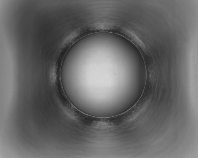 X0000112080635200908041254