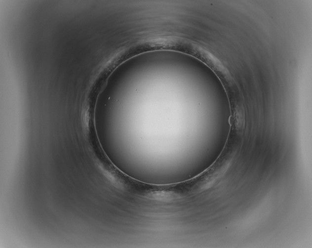 X0000112080637200908041255