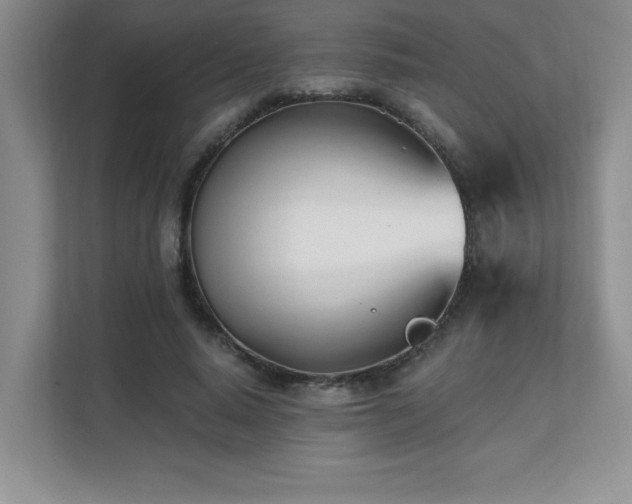 X0000112080640200908041255