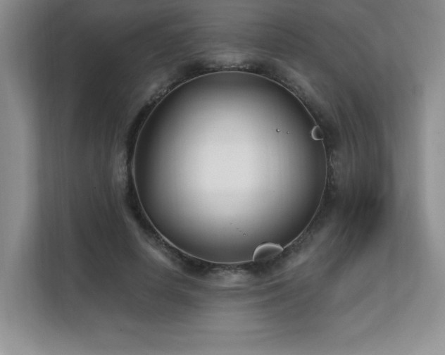X0000112080642200908041255