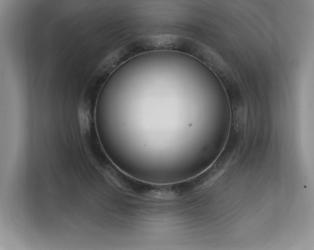 X0000112080644200908041255