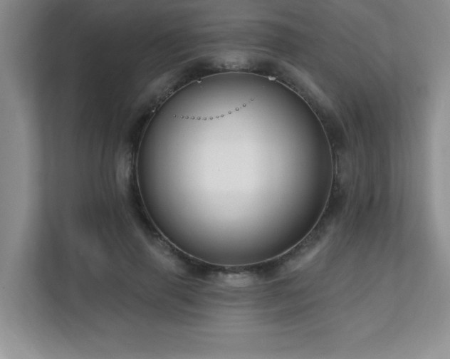 X0000112080645200908041255