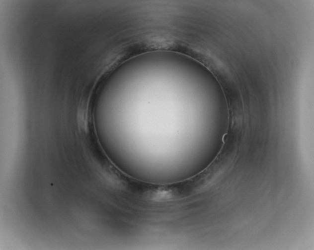 X0000112080647200908041255