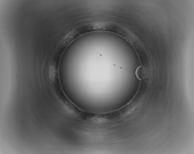 X0000112080648200908041255