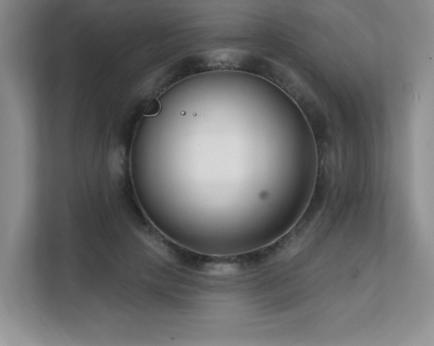 X0000112080649200908041255