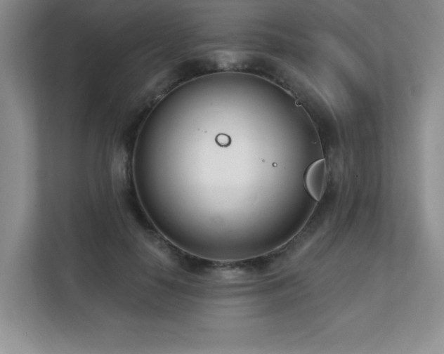 X0000112080650200908041255