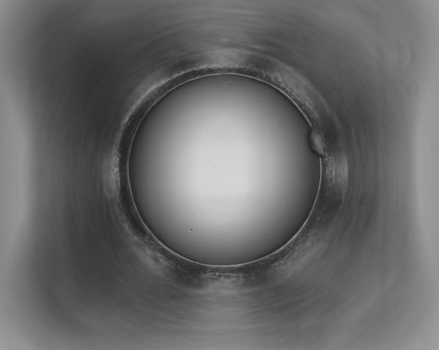 X0000112080676200908041254