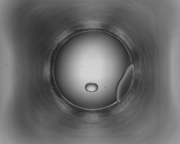 X0000112080677200908041254