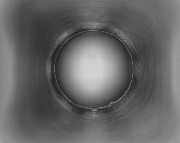 X0000112080679200908041254