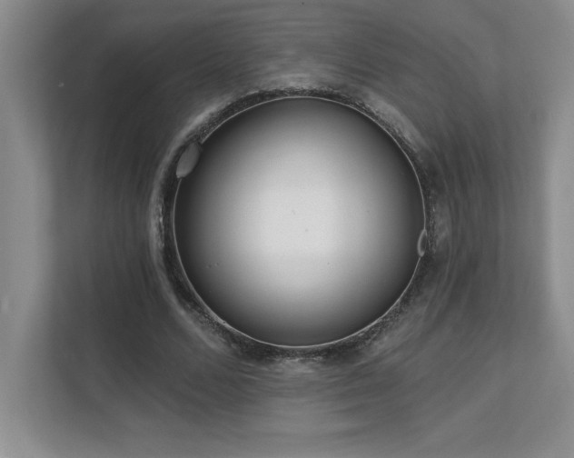 X0000112080680200908041254