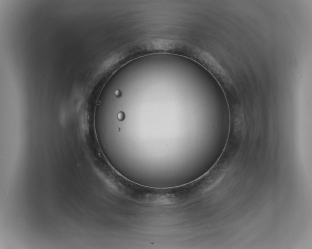 X0000112080683200908041254