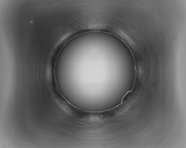 X0000112080684200908041254