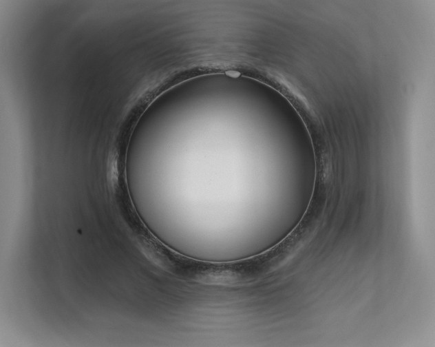 X0000112080685200908041254