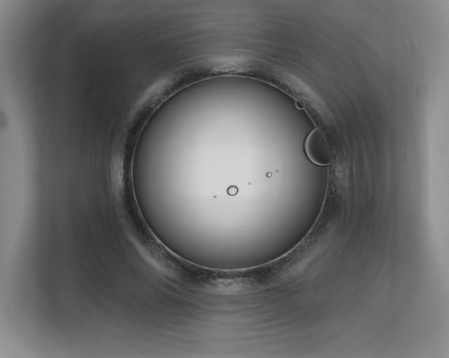 X0000112080686200908041254