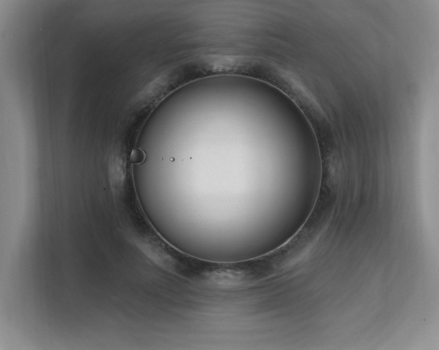 X0000112080691200908041254
