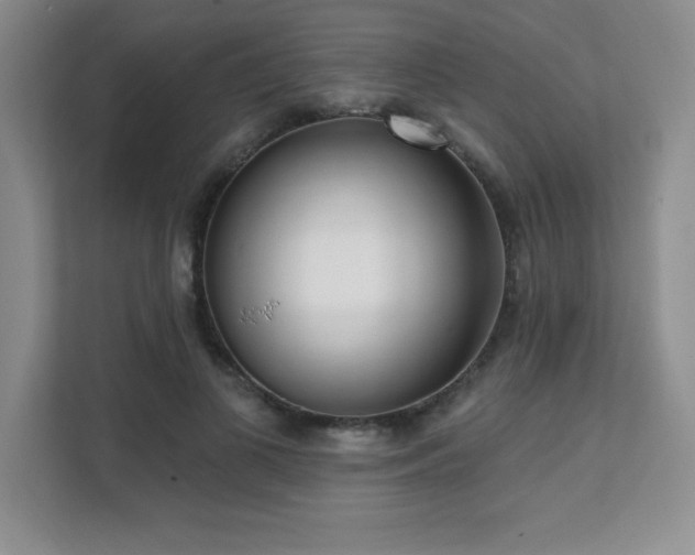 X0000112080693200908041254