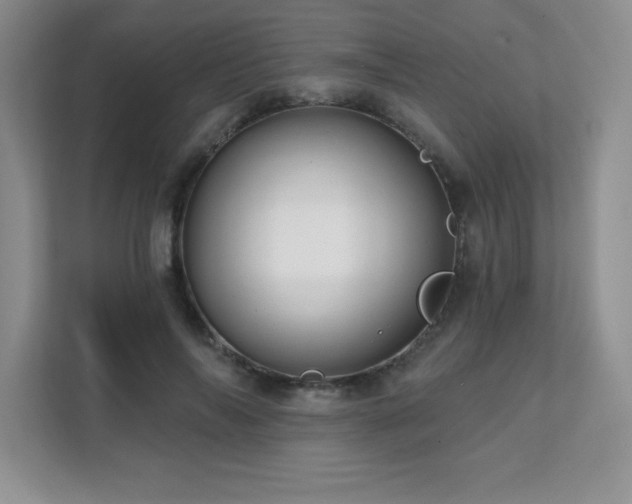 X0000112080694200908041254
