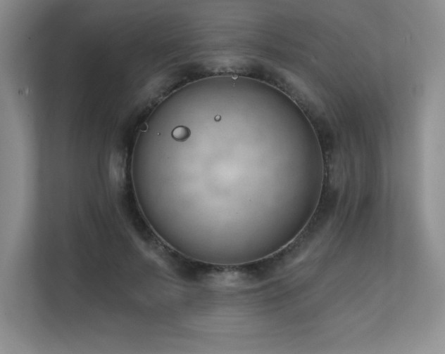X0000112080695200908041254