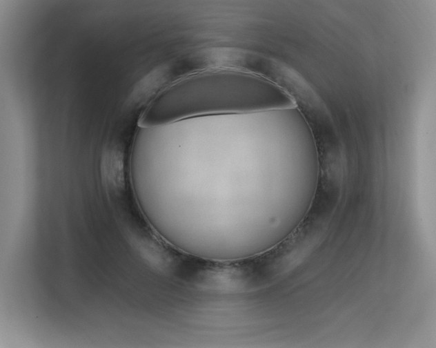 X0000112080696200908041254
