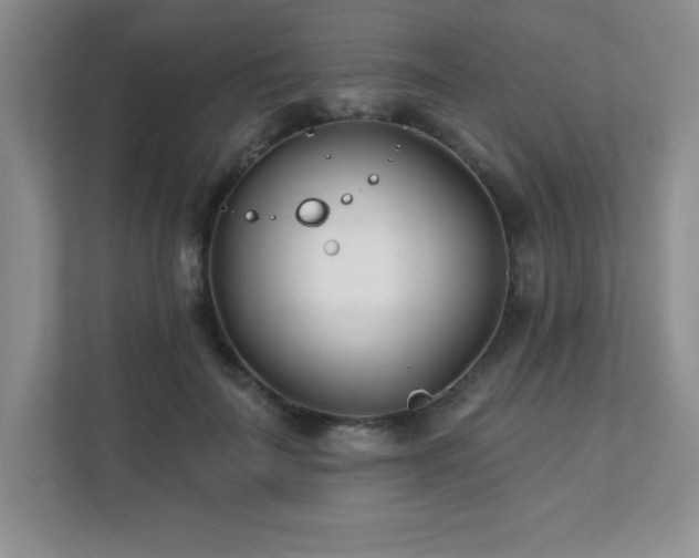 X0000112080699200908041254