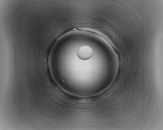 X0000112080700200908041254