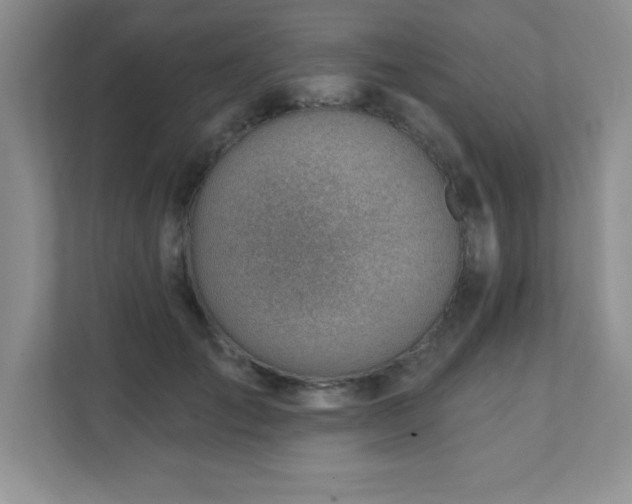 X0000112080701200908041254