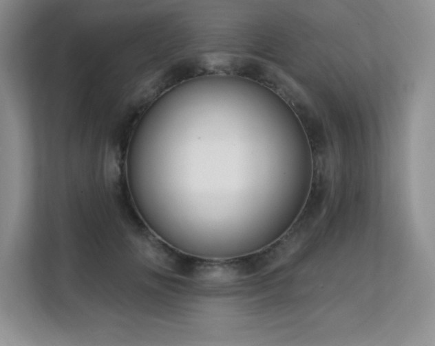 X0000112080702200908041254