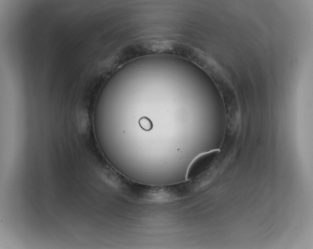 X0000112080704200908041254