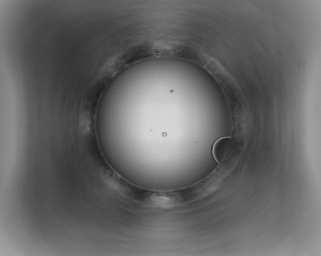 X0000112080706200908041254