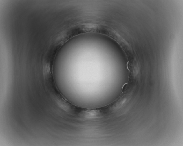 X0000112080711200908041254