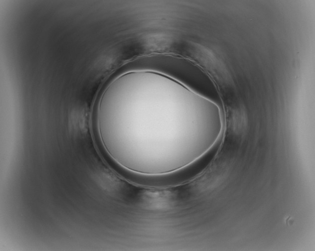 X0000112080712200908041254