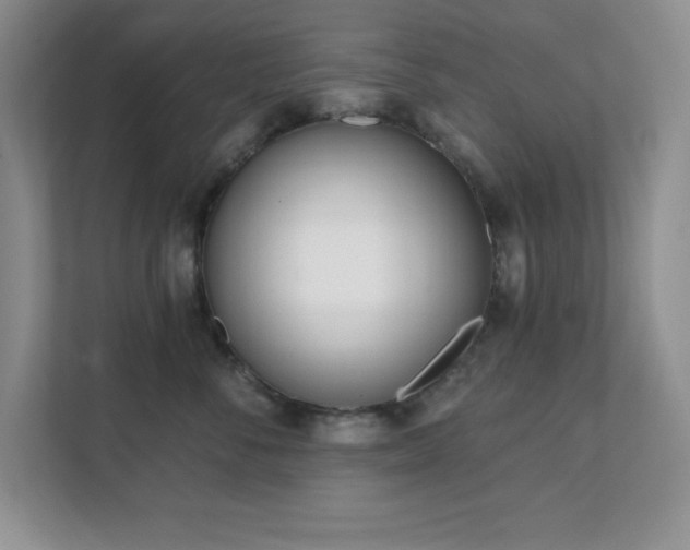 X0000112080716200908041254